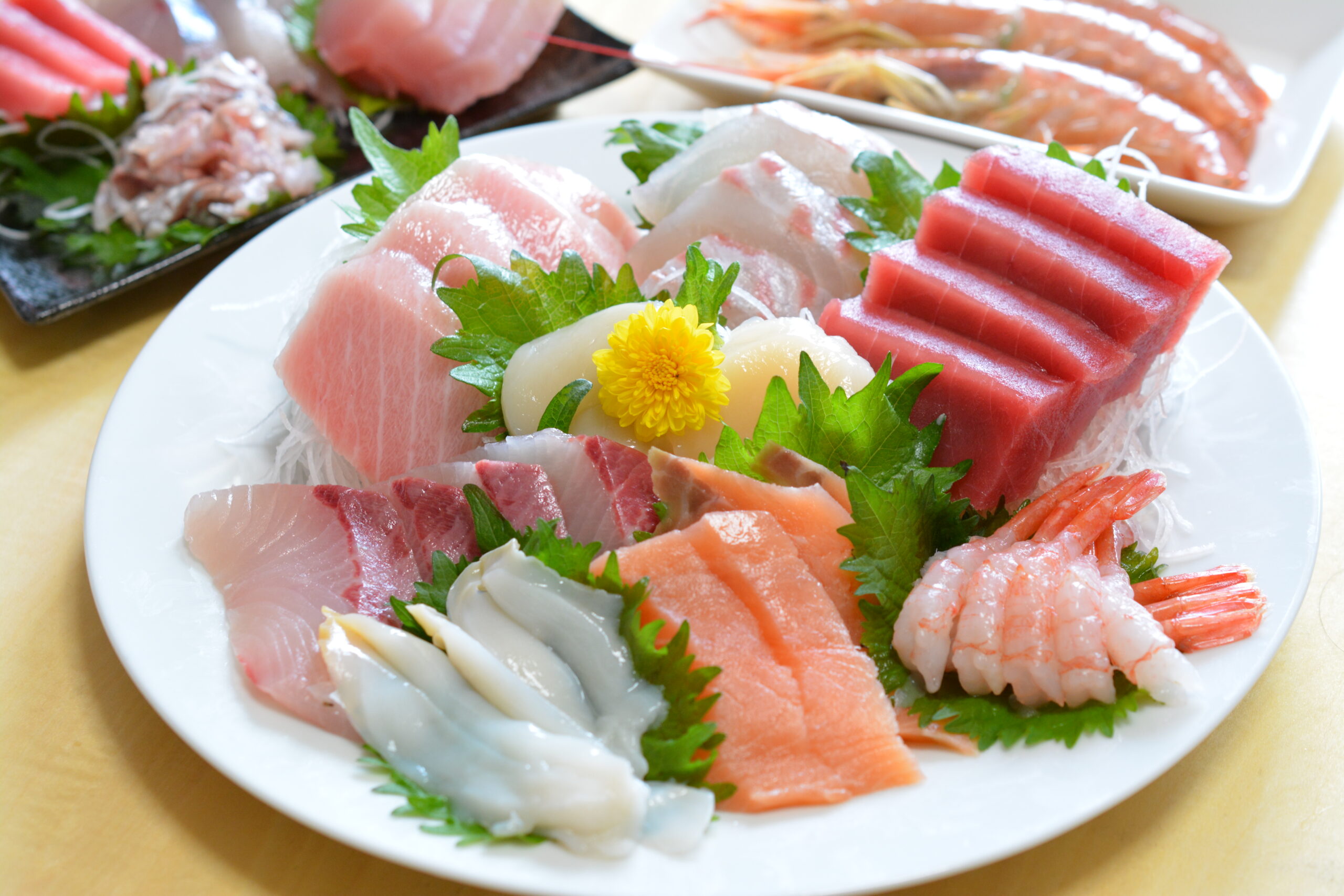 sashimi